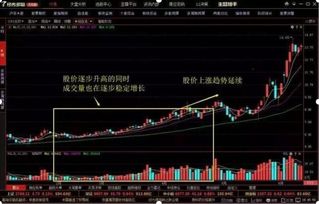 新股申购技巧最佳时间,新股申购的最佳时机